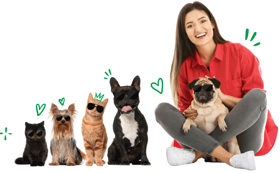 WohooPets homepage banner